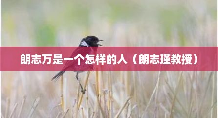 朗志万是一个怎样的人（朗志瑾教授）