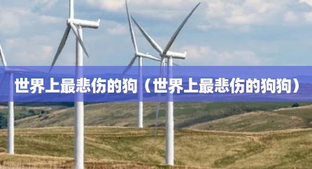世界上最悲伤的狗（世界上最悲伤的狗狗）