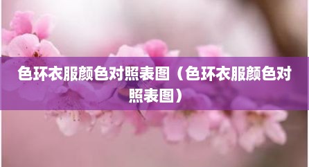 色环衣服颜色对照表图（色环衣服颜色对照表图）