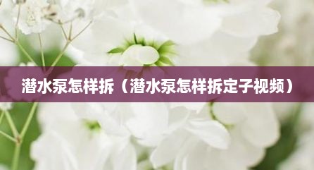 潜水泵怎样拆（潜水泵怎样拆定子视频）