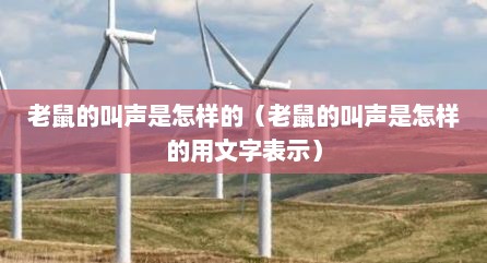 老鼠的叫声是怎样的（老鼠的叫声是怎样的用文字表示）