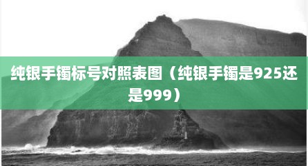 纯银手镯标号对照表图（纯银手镯是925还是999）