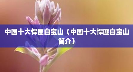 中国十大悍匪白宝山（中国十大悍匪白宝山简介）