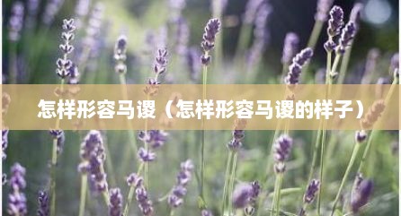 怎样形容马谡（怎样形容马谡的样子）