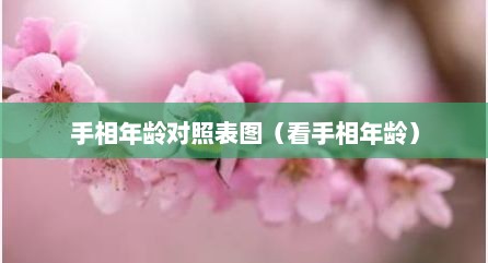 手相年龄对照表图（看手相年龄）