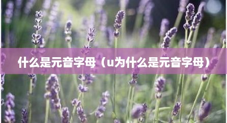 什么是元音字母（u为什么是元音字母）