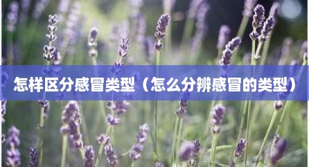 怎样区分感冒类型（怎么分辨感冒的类型）
