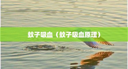 蚊子吸血（蚊子吸血原理）