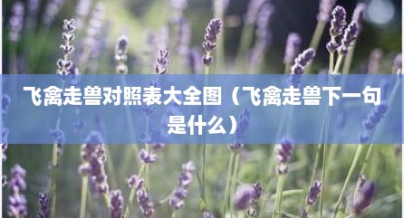 飞禽走兽对照表大全图（飞禽走兽下一句是什么）