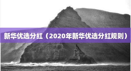 新华优选分红（2020年新华优选分红规则）