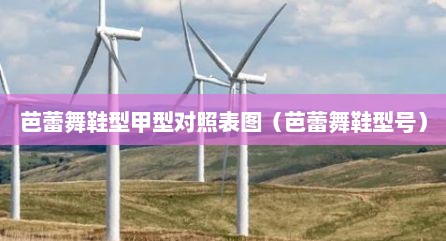 芭蕾舞鞋型甲型对照表图（芭蕾舞鞋型号）