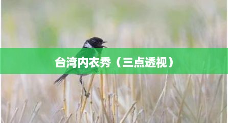 台湾内衣秀（三点透视）