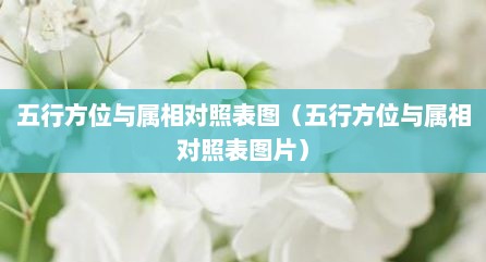 五行方位与属相对照表图（五行方位与属相对照表图片）