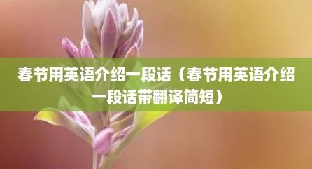 春节用英语介绍一段话（春节用英语介绍一段话带翻译简短）