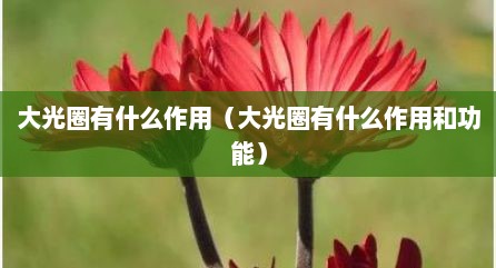 大光圈有什么作用（大光圈有什么作用和功能）