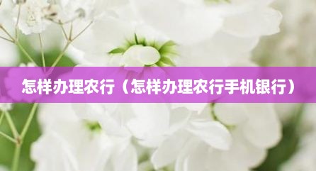 怎样办理农行（怎样办理农行手机银行）