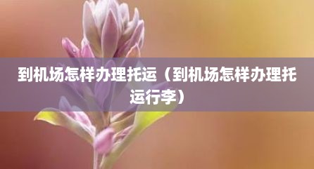 到机场怎样办理托运（到机场怎样办理托运行李）