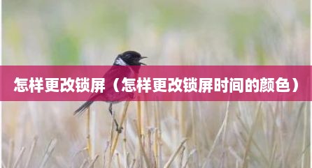 怎样更改锁屏（怎样更改锁屏时间的颜色）