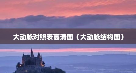 大动脉对照表高清图（大动脉结构图）