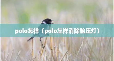 polo怎样（polo怎样消除胎压灯）