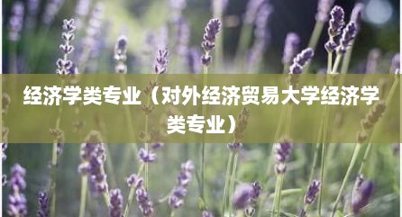 经济学类专业（对外经济贸易大学经济学类专业）