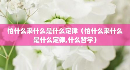 怕什么来什么是什么定律（怕什么来什么是什么定律,什么哲学）