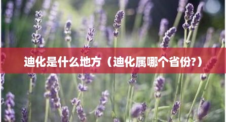迪化是什么地方（迪化属哪个省份?）
