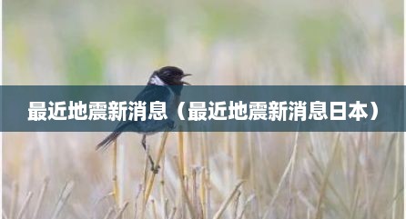 最近地震新消息（最近地震新消息日本）