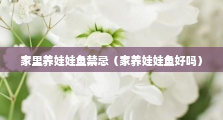 家里养娃娃鱼禁忌（家养娃娃鱼好吗）