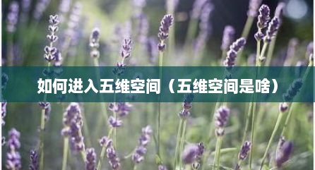 如何进入五维空间（五维空间是啥）