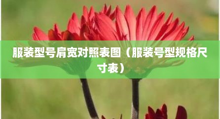 服装型号肩宽对照表图（服装号型规格尺寸表）