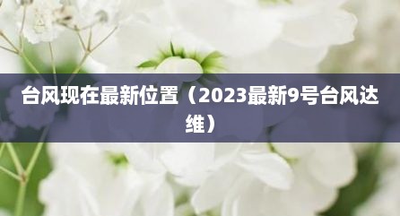 台风现在最新位置（2023最新9号台风达维）