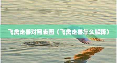 飞禽走兽对照表图（飞禽走兽怎么解释）