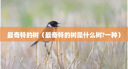 最奇特的树（最奇特的树是什么树?一种）