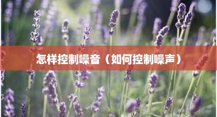 怎样控制噪音（如何控制噪声）