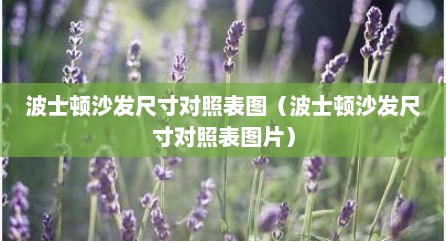 波士顿沙发尺寸对照表图（波士顿沙发尺寸对照表图片）