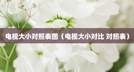 电视大小对照表图（电视大小对比 对照表）