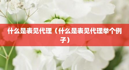 什么是表见代理（什么是表见代理举个例子）