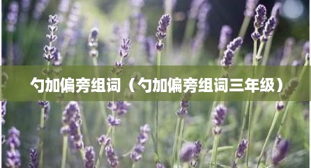 勺加偏旁组词（勺加偏旁组词三年级）