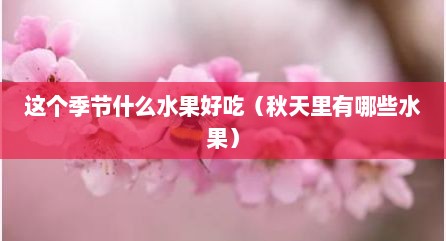 这个季节什么水果好吃（秋天里有哪些水果）