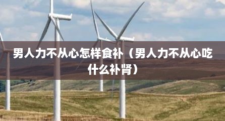 男人力不从心怎样食补（男人力不从心吃什么补肾）