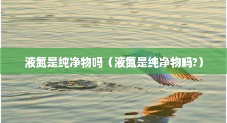 液氮是纯净物吗（液氮是纯净物吗?）