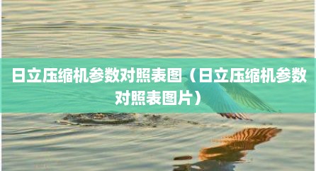 日立压缩机参数对照表图（日立压缩机参数对照表图片）