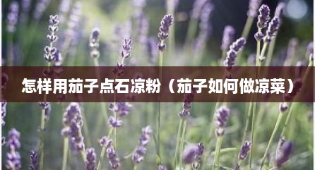怎样用茄子点石凉粉（茄子如何做凉菜）