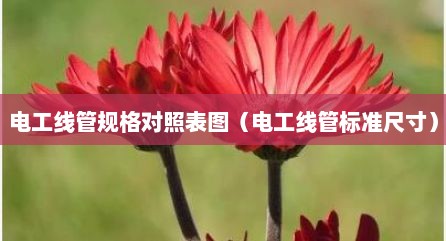 电工线管规格对照表图（电工线管标准尺寸）