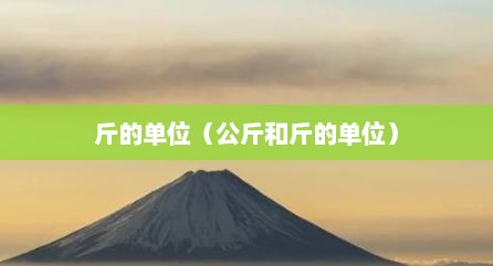 斤的单位（公斤和斤的单位）