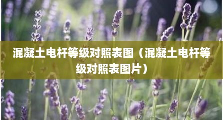 混凝土电杆等级对照表图（混凝土电杆等级对照表图片）