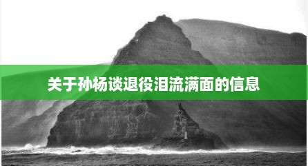 关于孙杨谈退役泪流满面的信息