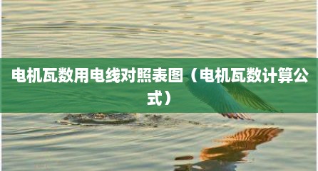 电机瓦数用电线对照表图（电机瓦数计算公式）