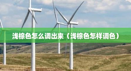 浅棕色怎么调出来（浅棕色怎样调色）